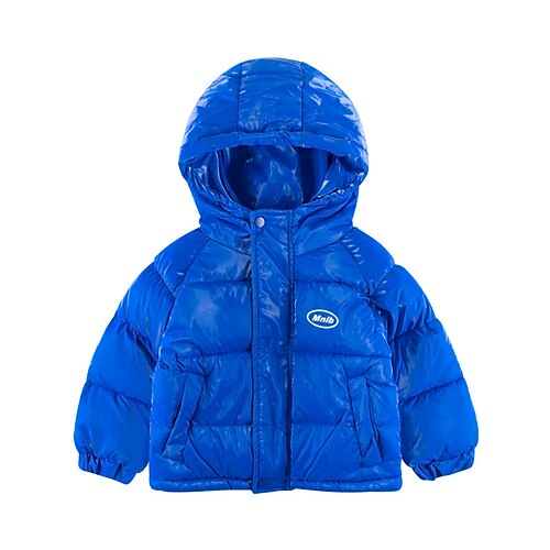 Toddler Boys Down Coat Outerwear Solid Color Long Sleeve Pocket Coat Outdoor Fashion Daily Green Black Blue Winter Fall 3-7 Years
Toddler Boys Down Coat Outerwear Solid Color Long Sleeve Pocket Coat Outdoor Fashion Daily Green Black Blue Winter Fall 3-7 Years