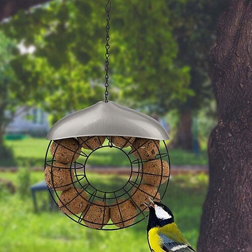 garden mile luksus donut rindernierenfett vægophæng fat ball fugleføder. havefugl mest feeder peanut feeder let ren og polstring
garden mile luksus donut rindernierenfett vægophæng fat ball fugleføder. havefugl mest feeder peanut feeder let ren og polstring