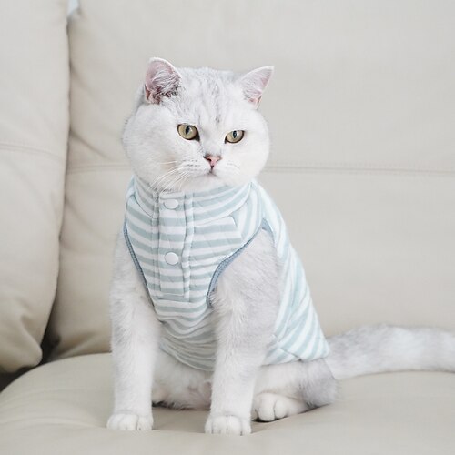 Dog Cat Vest Cartoon Rabbit Stripes Fashion Cute Outdoor Casual Daily Winter Dog Clothes Puppy Clothes Dog Outfits Breathable White Green Costume for Girl and Boy Dog Cotton S M L XL XXL 3XL
Dog Cat Vest Cartoon Rabbit Stripes Fashion Cute Outdoor Casual Daily Winter Dog Clothes Puppy Clothes Dog Outfits Breathable White Green Costume for Girl and Boy Dog Cotton S M L XL XXL 3XL