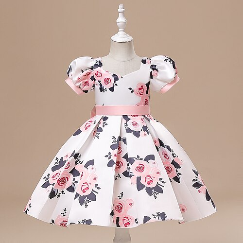 Bambino Da ragazza Vestito da festa Pop art Vestito da festa Al ginocchio Vestito Prestazioni Cerniera A V Manica corta Adorabile Vestito 3-10 anni Autunno Bianco
Bambino Da ragazza Vestito da festa Pop art Vestito da festa Al ginocchio Vestito Prestazioni Cerniera A V Manica corta Adorabile Vestito 3-10 anni Autunno Bianco