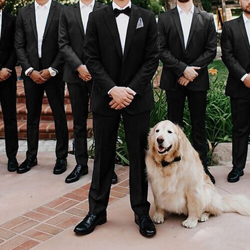 Svart Menn Bryllup Fest / aften Groomsmen Drakter 2-delt sett Ensfarget Skreddersydd Enkelt Brystet Enn-knapp 2023
Svart Menn Bryllup Fest / aften Groomsmen Drakter 2-delt sett Ensfarget Skreddersydd Enkelt Brystet Enn-knapp 2023