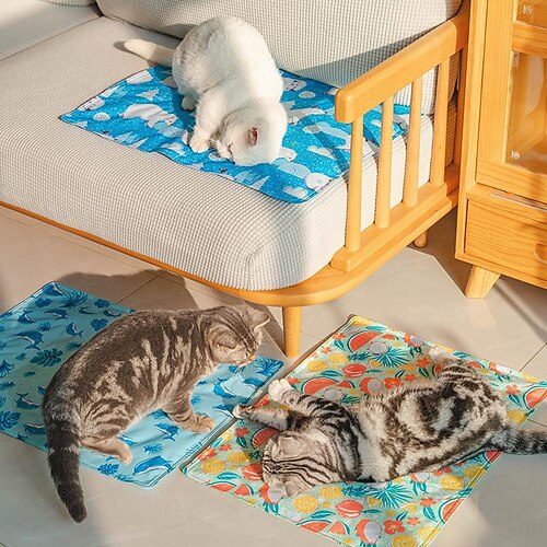 coussin de glace pour animaux de compagnie chenil d'été coussin de couchage frais coussin de gel de refroidissement anti-sale sensation de fraîcheur nid de glace coussin de couchagepetblanket
coussin de glace pour animaux de compagnie chenil d'été coussin de couchage frais coussin de gel de refroidissement anti-sale sensation de fraîcheur nid de glace coussin de couchagepetblanket