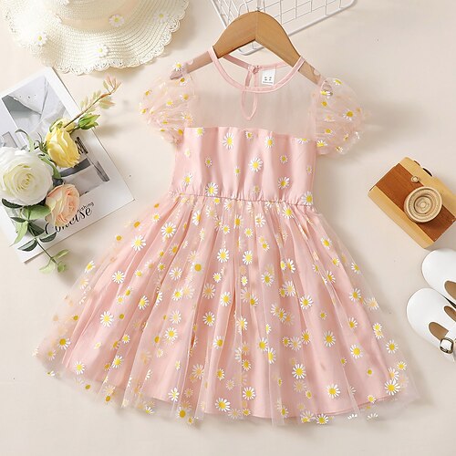 Bambino Da ragazza Vestito Floreale Fiore decorativo Vestito Formale Retato Girocollo Manica corta Elegante Vestito 3-7 anni Primavera Rosa
Bambino Da ragazza Vestito Floreale Fiore decorativo Vestito Formale Retato Girocollo Manica corta Elegante Vestito 3-7 anni Primavera Rosa