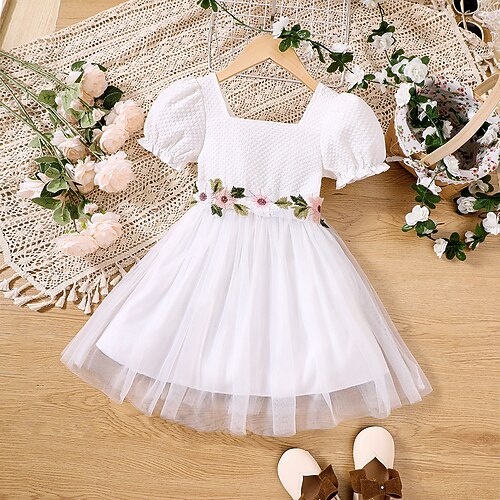 Bambino Da ragazza Vestito Floreale Abito estivo Sopra il ginocchio Vestito Scuola Colletto quadrato Manica corta Attivo Vestito 3-7 anni Estate Bianco
Bambino Da ragazza Vestito Floreale Abito estivo Sopra il ginocchio Vestito Scuola Colletto quadrato Manica corta Attivo Vestito 3-7 anni Estate Bianco
