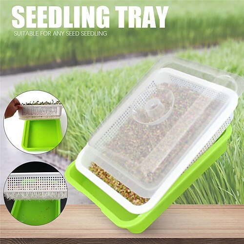 Vassoio per piantine verdi in plastica a doppio strato per piantine vivaio idroponica cestino per piante da fiore attrezzo da giardino per la casa
Vassoio per piantine verdi in plastica a doppio strato per piantine vivaio idroponica cestino per piante da fiore attrezzo da giardino per la casa