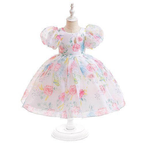 Baby Jente Festkjole Blomstret Skaterkjole Knelang Kjole Ytelse Glidelås Crew-hals Kortermet søt stil Kjole 3-7 år Sommer Flerfarget Rosa
Baby Jente Festkjole Blomstret Skaterkjole Knelang Kjole Ytelse Glidelås Crew-hals Kortermet søt stil Kjole 3-7 år Sommer Flerfarget Rosa