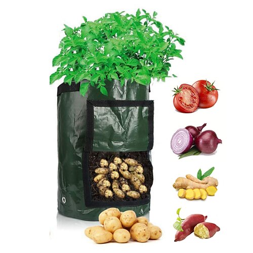 Sac de culture de pommes de terre pe légume oignon sac de plante avec poignée jardin épaissi carotte taro sac de culture d'arachide outil de jardin de semences durables
Sac de culture de pommes de terre pe légume oignon sac de plante avec poignée jardin épaissi carotte taro sac de culture d'arachide outil de jardin de semences durables