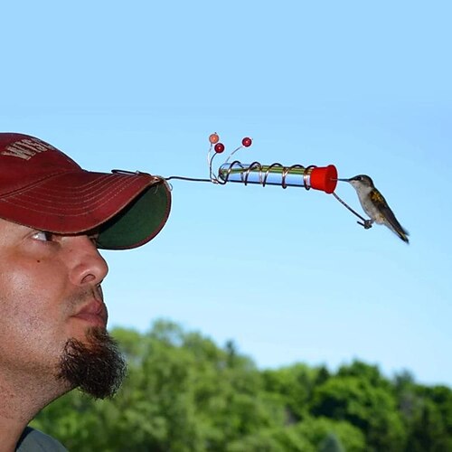 mangiatoia per colibrì cappello mangiatoia per uccelli portatile creativa per provette (25 cm)
mangiatoia per colibrì cappello mangiatoia per uccelli portatile creativa per provette (25 cm)