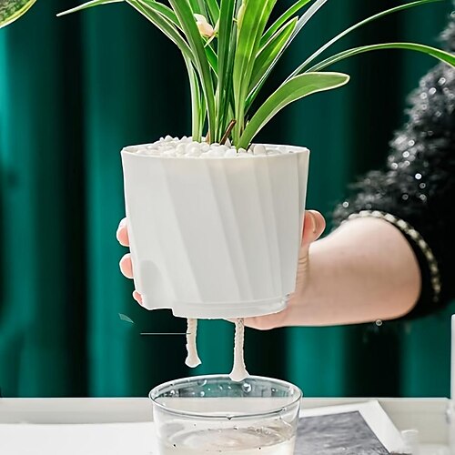 Automatischer Wasserpflanzer, transparenter selbstbewässernder Blumentopf für Büro, Hydrokulturtopf, Wohnkultur
Automatischer Wasserpflanzer, transparenter selbstbewässernder Blumentopf für Büro, Hydrokulturtopf, Wohnkultur