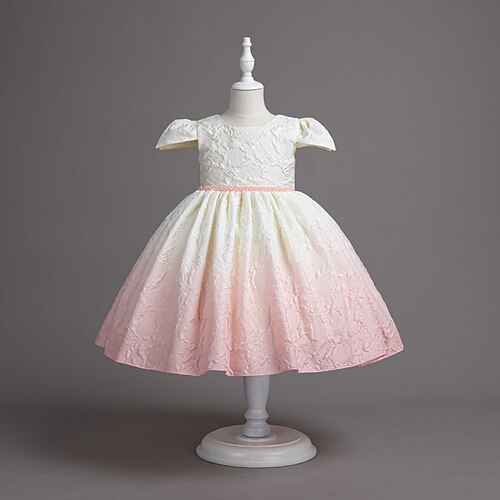 Bambino Da ragazza Vestito Gradiente Vestito Abito da battesimo Girocollo Manica corta Da principessa Vestito 3-10 anni Estate Nero Champagne Rosa
Bambino Da ragazza Vestito Gradiente Vestito Abito da battesimo Girocollo Manica corta Da principessa Vestito 3-10 anni Estate Nero Champagne Rosa