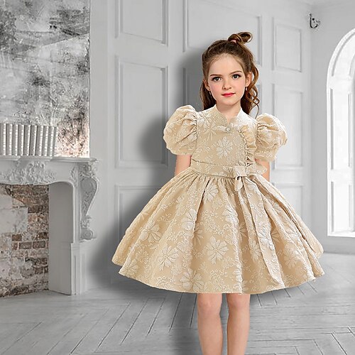 Bambino (1-4 anni) Da ragazza Vestito da festa Floreale Vestito da festa Al ginocchio Vestito Matrimonio Cerniera Colletto Mao Manica corta Attivo Vestito 3-7 anni Estate Champagne Rosso Grigio
Bambino (1-4 anni) Da ragazza Vestito da festa Floreale Vestito da festa Al ginocchio Vestito Matrimonio Cerniera Colletto Mao Manica corta Attivo Vestito 3-7 anni Estate Champagne Rosso Grigio