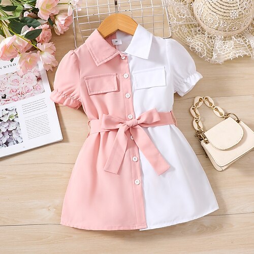 Bambino Da ragazza Vestito Tinta unica Abito casual Sopra il ginocchio Vestito Esterno Colletto quadrato Manica corta Attivo Vestito 3-7 anni Estate Rosa
Bambino Da ragazza Vestito Tinta unica Abito casual Sopra il ginocchio Vestito Esterno Colletto quadrato Manica corta Attivo Vestito 3-7 anni Estate Rosa