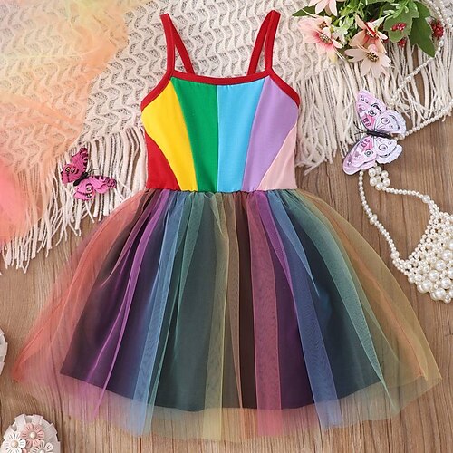 Bambino Da ragazza Vestito Color Block Abito linea A 60-70 cm Vestito Esterno Retato Colletto quadrato Senza maniche Giornaliero Vestito 3-7 anni Estate Multicolore
Bambino Da ragazza Vestito Color Block Abito linea A 60-70 cm Vestito Esterno Retato Colletto quadrato Senza maniche Giornaliero Vestito 3-7 anni Estate Multicolore