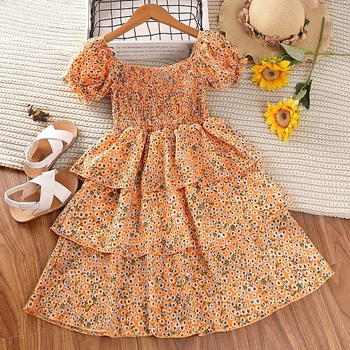 Bambino Da ragazza Vestito Floreale Abito casual Sopra il ginocchio Vestito Informale Girocollo Manica corta Attivo Vestito 4-12 anni Estate Arancione
Bambino Da ragazza Vestito Floreale Abito casual Sopra il ginocchio Vestito Informale Girocollo Manica corta Attivo Vestito 4-12 anni Estate Arancione