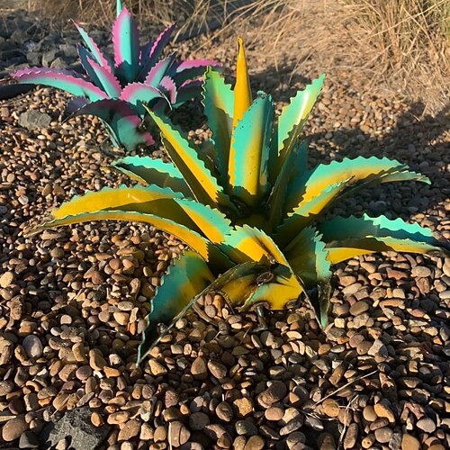 tequila rustik skulptur have gård kunst regnbue metal agave skulptur DIY metal kunst boligindretning udendørs haveskilte dekoration
tequila rustik skulptur have gård kunst regnbue metal agave skulptur DIY metal kunst boligindretning udendørs haveskilte dekoration
