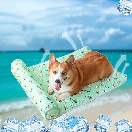 Fournitures pour animaux de compagnie coussin de canapé respirant anti-dérapant housse de canapé anti-sale housse de canapé coussin de protection de canapé coussin de chien
Fournitures pour animaux de compagnie coussin de canapé respirant anti-dérapant housse de canapé anti-sale housse de canapé coussin de protection de canapé coussin de chien