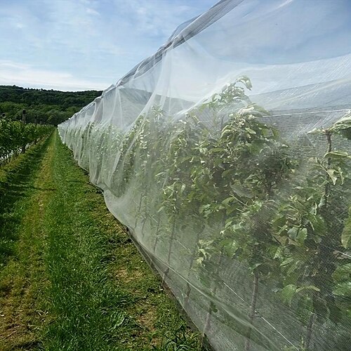 1pc redes de proteção contra insetos e vegetais de jardim, coberturas para cuidados com plantas, flores e frutas, controle de pragas de estufa e redes de prevenção de insetos, controle de pragas
1pc redes de proteção contra insetos e vegetais de jardim, coberturas para cuidados com plantas, flores e frutas, controle de pragas de estufa e redes de prevenção de insetos, controle de pragas