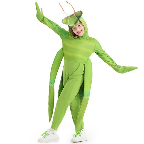 Halloween Praying Mantis Party Costume Funny Costume Kid's Boys Girls' Cosplay Halloween Halloween Easy Halloween Costumes
Halloween Praying Mantis Party Costume Funny Costume Kid's Boys Girls' Cosplay Halloween Halloween Easy Halloween Costumes