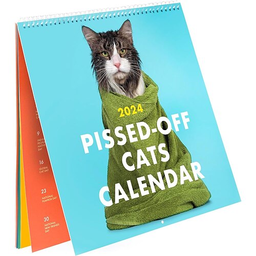 

Календарь разозленных кошек на 2024 год, календарь кошек на 2024 год, календарь забавных кошек на 2024 год, календарь животных, забавный настенный календарь, рождественский декор, рождественский подарок