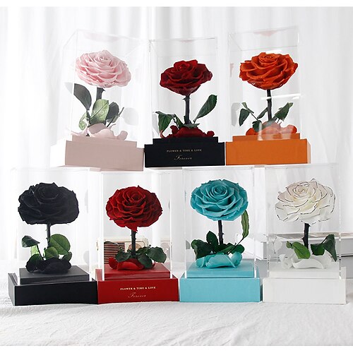 Coffret cadeau roses éternelles pour la Saint-Valentin, seulement un bouquet d'anniversaire sec pour la Saint-Valentin de votre petite amie.
Coffret cadeau roses éternelles pour la Saint-Valentin, seulement un bouquet d'anniversaire sec pour la Saint-Valentin de votre petite amie.