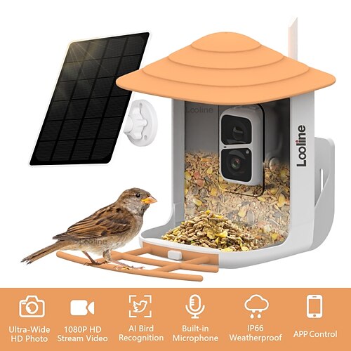 1 mangeoire à oiseaux avec caméra, caméra intelligente pour mangeoire à oiseaux avec identification par IA, enregistrement automatique des espèces d'oiseaux, notifications instantanées vidéo d'oiseaux
1 mangeoire à oiseaux avec caméra, caméra intelligente pour mangeoire à oiseaux avec identification par IA, enregistrement automatique des espèces d'oiseaux, notifications instantanées vidéo d'oiseaux