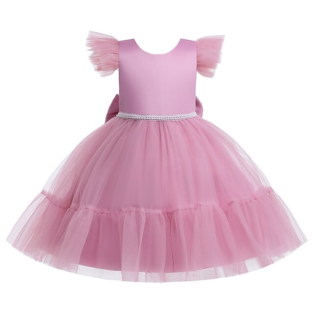 Kids Little Girls' Dress Plain Tulle Dress Party Daily Beaded Blue Pink Light Green Knee-length Sleeveless Elegant Cute Dresses Children's Day Spring Summer Slim 3-10 Years
Kids Little Girls' Dress Plain Tulle Dress Party Daily Beaded Blue Pink Light Green Knee-length Sleeveless Elegant Cute Dresses Children's Day Spring Summer Slim 3-10 Years