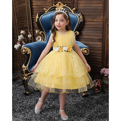 cheap Girls&#039; Clothing-Kids Little Dress Girls&#039; Floral Birthday Daily Performance Tulle Dress Embroidered Blue Purple Pink Knee-length Sleeveless Cute Dresses Fall Spring Children&#039;s Day Regular Fit 4-13 Years / Summer