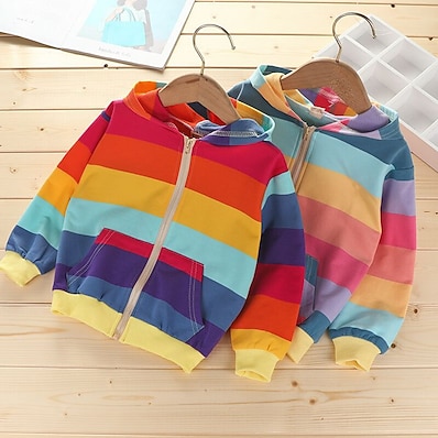 cheap Girls&#039; Clothing-Kids Girls&#039; Pullover Long Sleeve Rainbow Color Block Purple Light Blue Children Tops Autumn / Fall Active Loose 2-9 Years