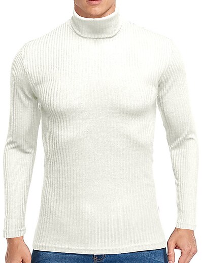 저렴한 남성용 의류-남성용 풀오버 한 색상 니트 세련 빈티지 스타일 소프트 긴 소매 보통 스웨터 가디건 가을 겨울 터틀넥 와인 아미 그린 그레이