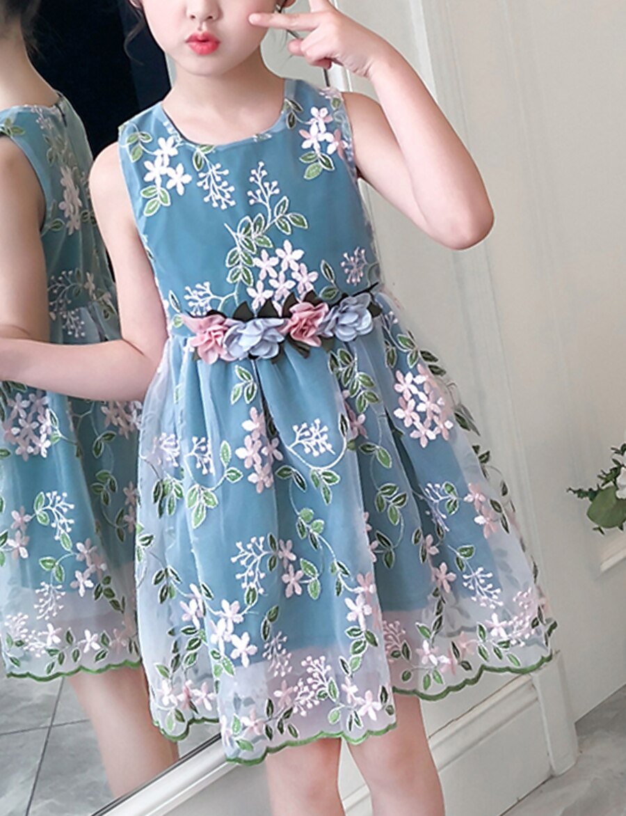  Kids Little Girls' Dress Red Floral Embroidered Blushing Pink Green Above Knee Sleeveless Cute Dresses Children's Day Slim