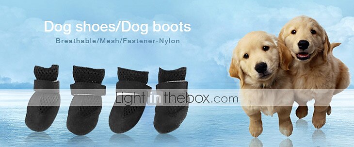 2025年 犬用 猫用 小型ペット用 シューズ、ブーツ 高通気性 ペット用 ポリ / コットン ブラック  コレクション – $13.99 –P4