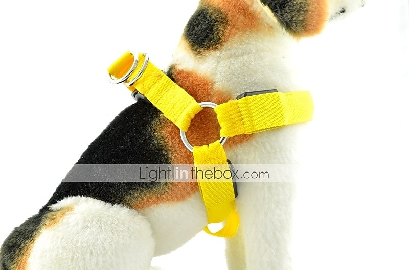 2025年 犬 ハーネス LEDライト 安全用具 ソリッド  コレクション – $15.49 –P5