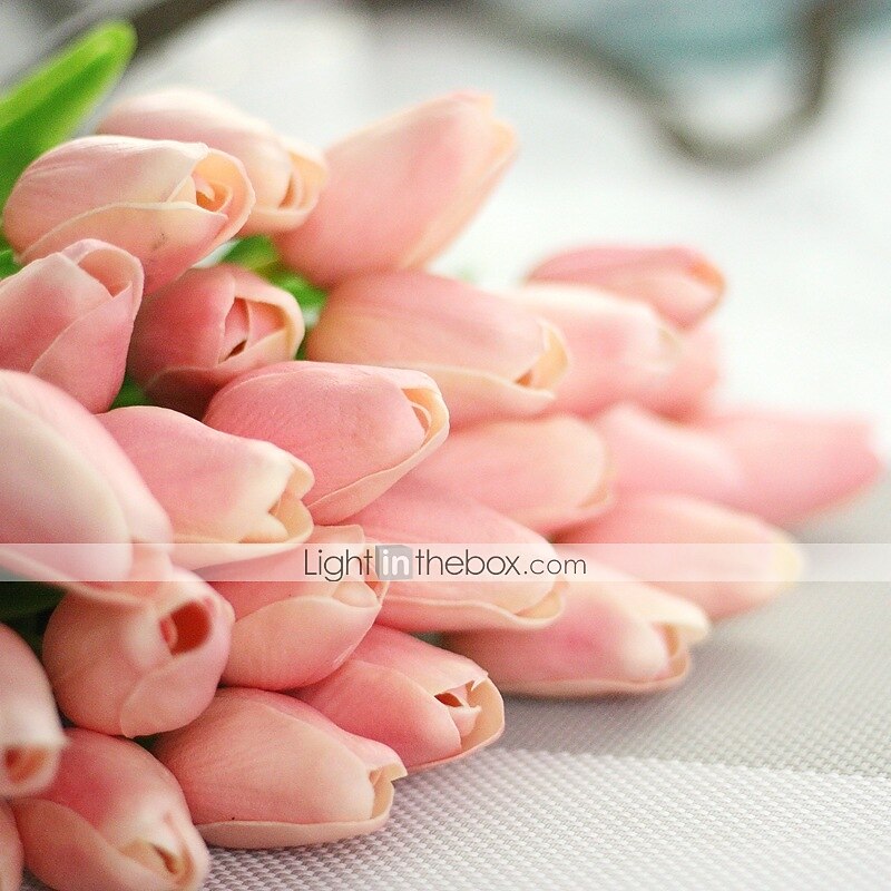 tekokukka 2026 - $17.99 –P2