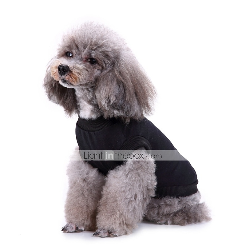 Câini Hanorca Γιλέκο Haine pentru catelus Casul Zilnic stil minimalist Vară Primăvară Îmbrăcăminte pentru câini for Corgi Beagle Buldog Shiba Inu Cocker Spaniol 2026 - $16.99 –P8