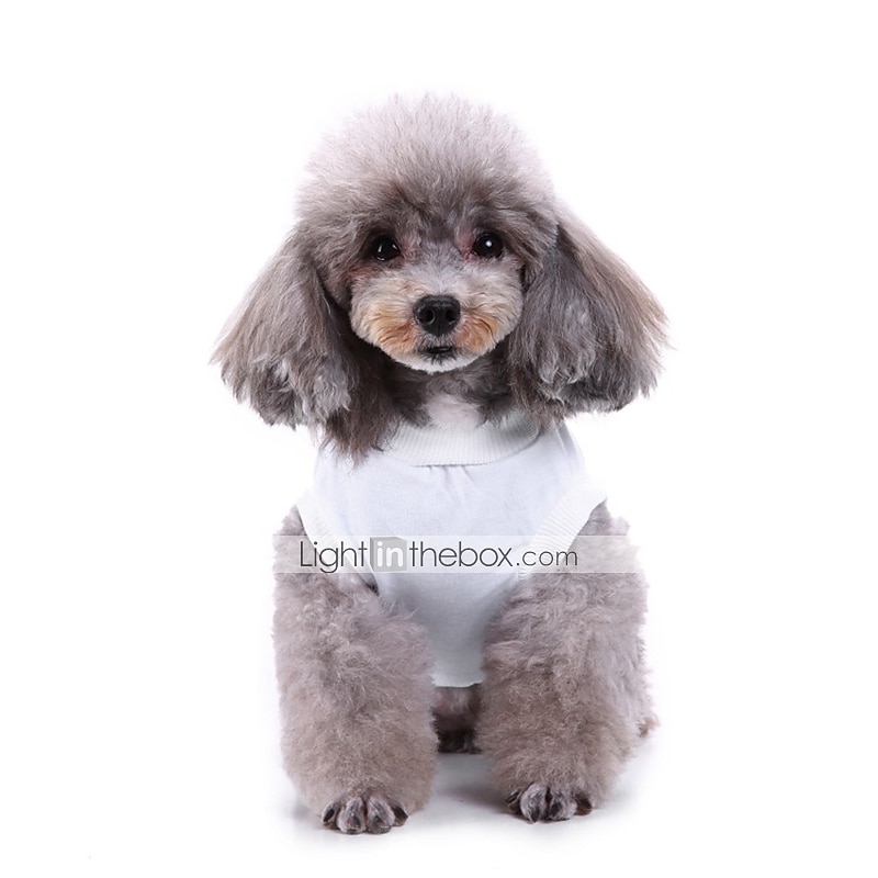 Câini Hanorca Γιλέκο Haine pentru catelus Casul Zilnic stil minimalist Vară Primăvară Îmbrăcăminte pentru câini for Corgi Beagle Buldog Shiba Inu Cocker Spaniol 2026 - $16.99 –P20