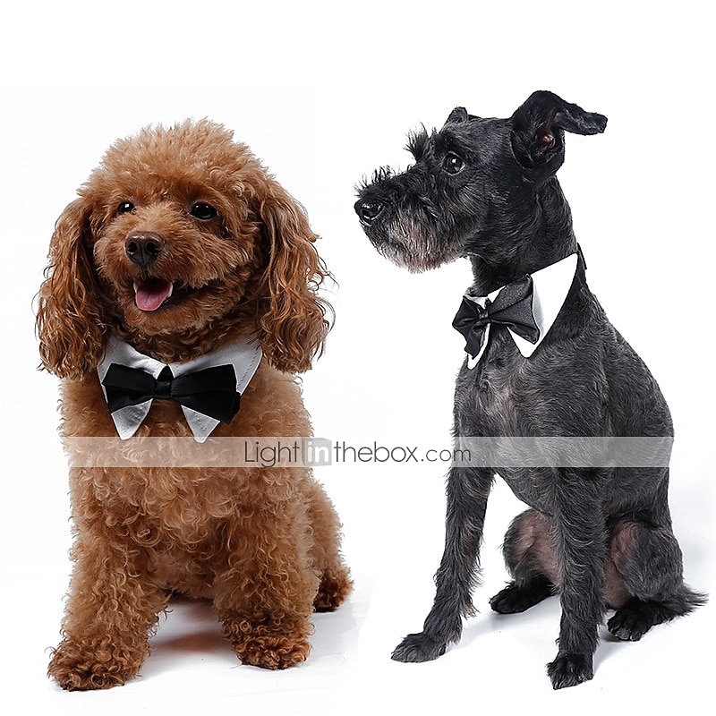 Dog Cat Necklace Puppy Clothes Tie / Bow Tie Headpieces Bow Dog Clothing for Pug Bichon Frise Pekingese Shih Tzu Dachshund 2025 - $11.49 –P3