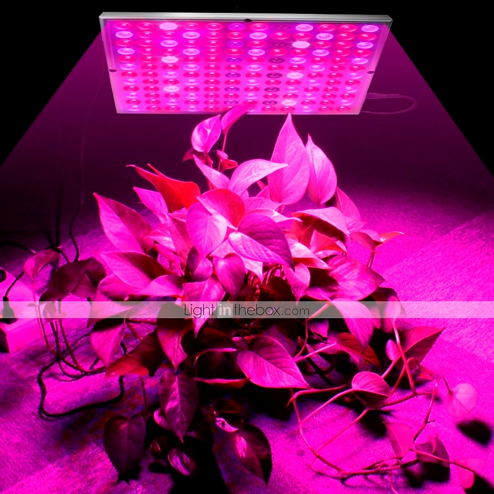 led a crescut lumina cu spectru complet plantă crește 25w 75led margele instalați ușor scoate în evidență economie de energie 85-265v plante interioare growbox seră legume hidroponice flori și fructe 2025 - $30.99 –P1