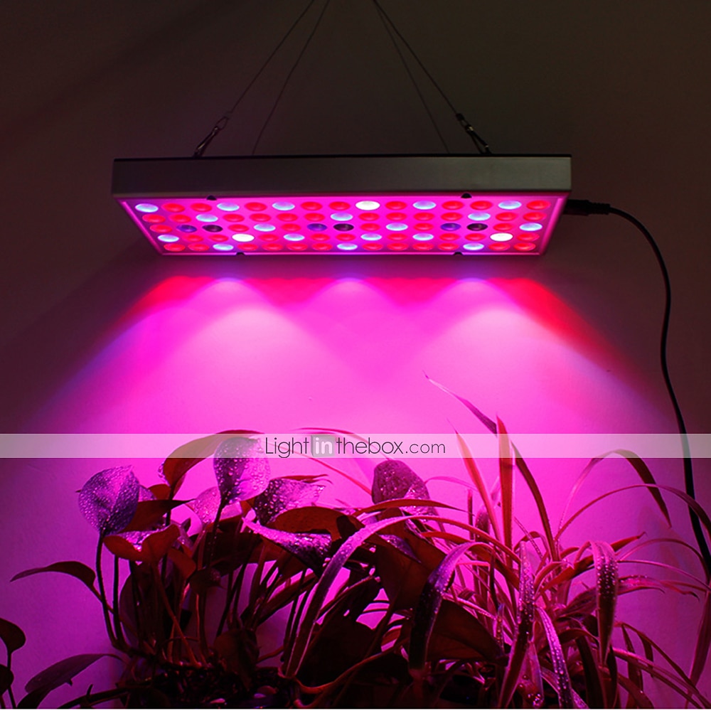 led a crescut lumina cu spectru complet plantă crește 25w 75led margele instalați ușor scoate în evidență economie de energie 85-265v plante interioare growbox seră legume hidroponice flori și fructe 2025 - $30.99 –P2
