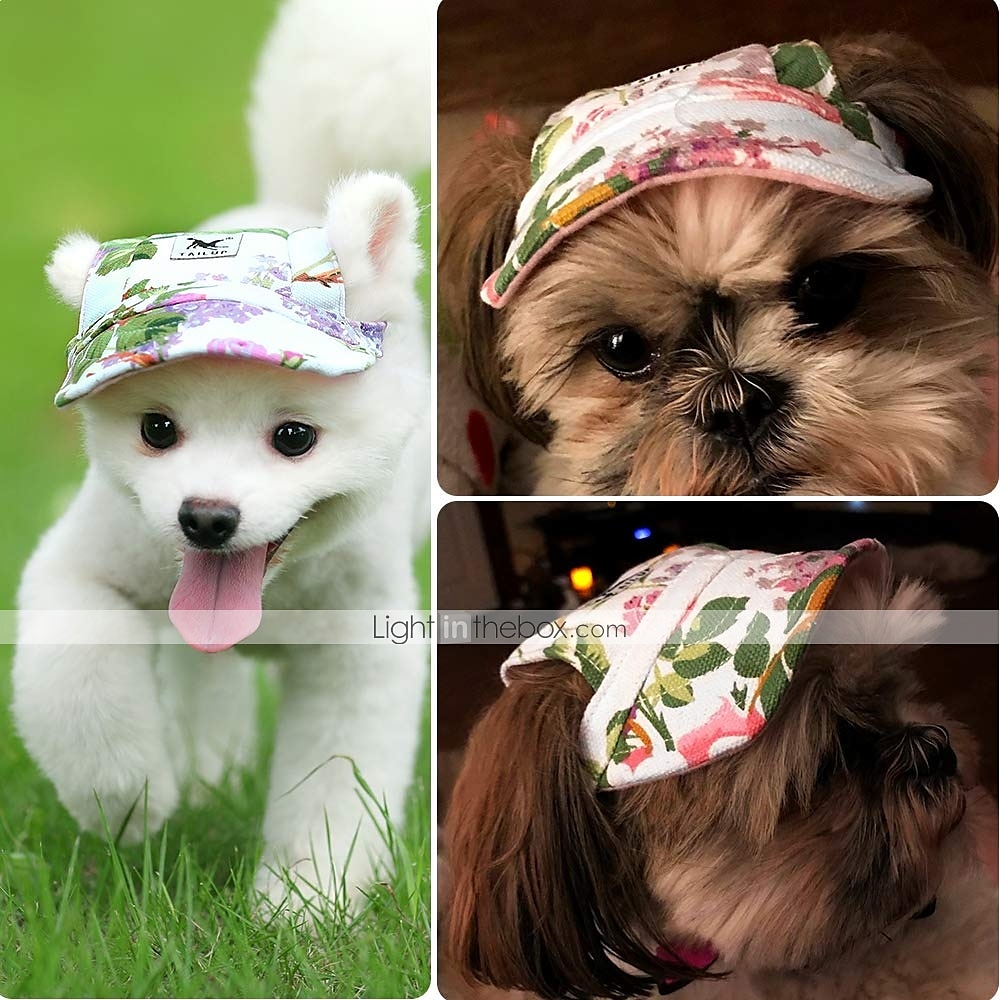 Dog Cat Bandanas & Hats Sport Hat Visor Cap Dog Clothing for Husky Labrador Alaskan Malamute Golden Retriever Bulldog 2025 - $11.99 –P9