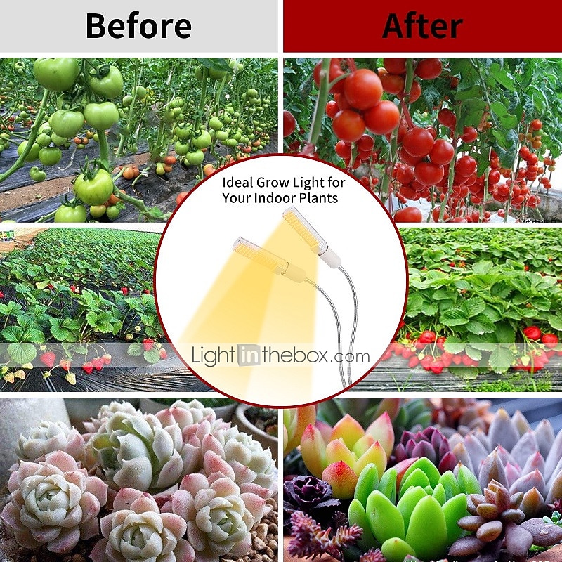 Grow Light for Indoor Plants LED Plant Growing Light LED Plant Grow Light Sunlike Full Spectrum 45W E27 Dual Head Flexible Gooseneck for Greenhouse flower Phyto lamp 2026 - $75.99 –P7