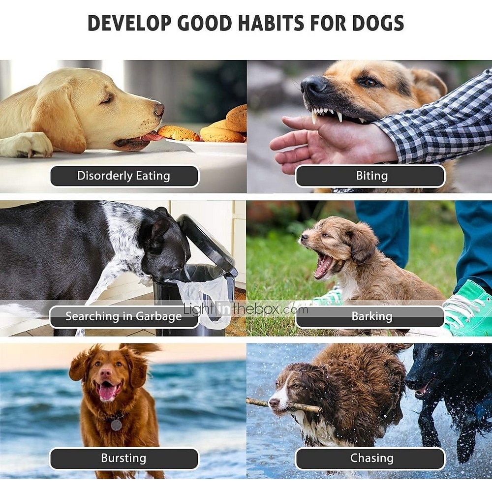 2025年 ipx7防水充電式リモートペット犬トレーニングカラーLED 3モードビープ振動ショックペット行動トレーニング2匹の犬  コレクション – $95.99 –P4