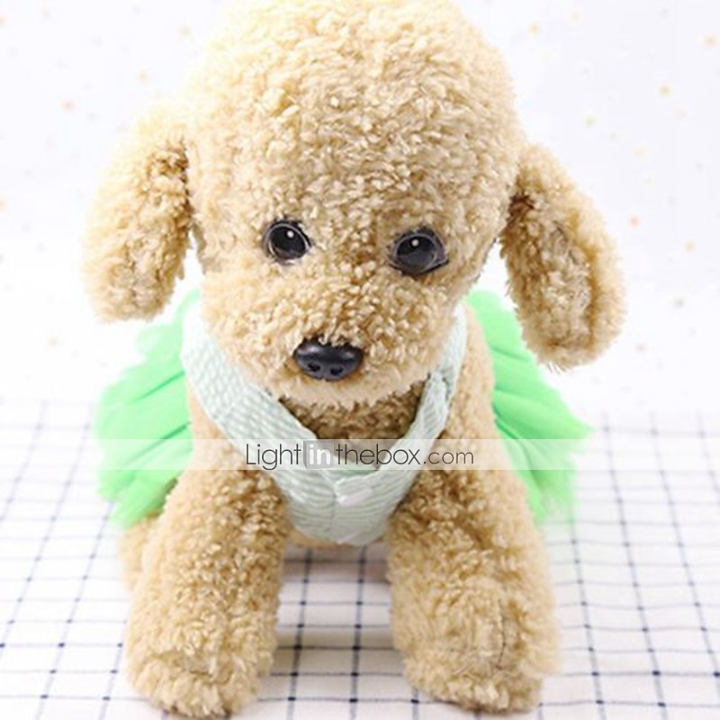 Kutyák Ruhák Buli / Este Édes stílus Kutyaruházat for Rekedt Arany retriever Dalmátkutya japán spicc Buldog 2025 - $21.99 –P2
