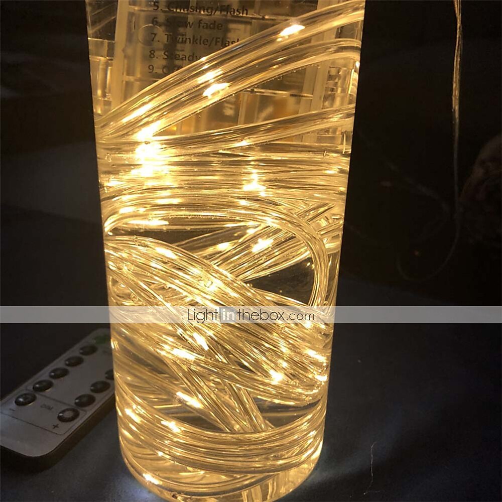 10m IP68 Waterproof Casing String Lights - 100 LEDs with Remote Control, Dimming, Timing & 8 Modes for Outdoor Christmas Garden Lighting 2025 - $22.99 –P13