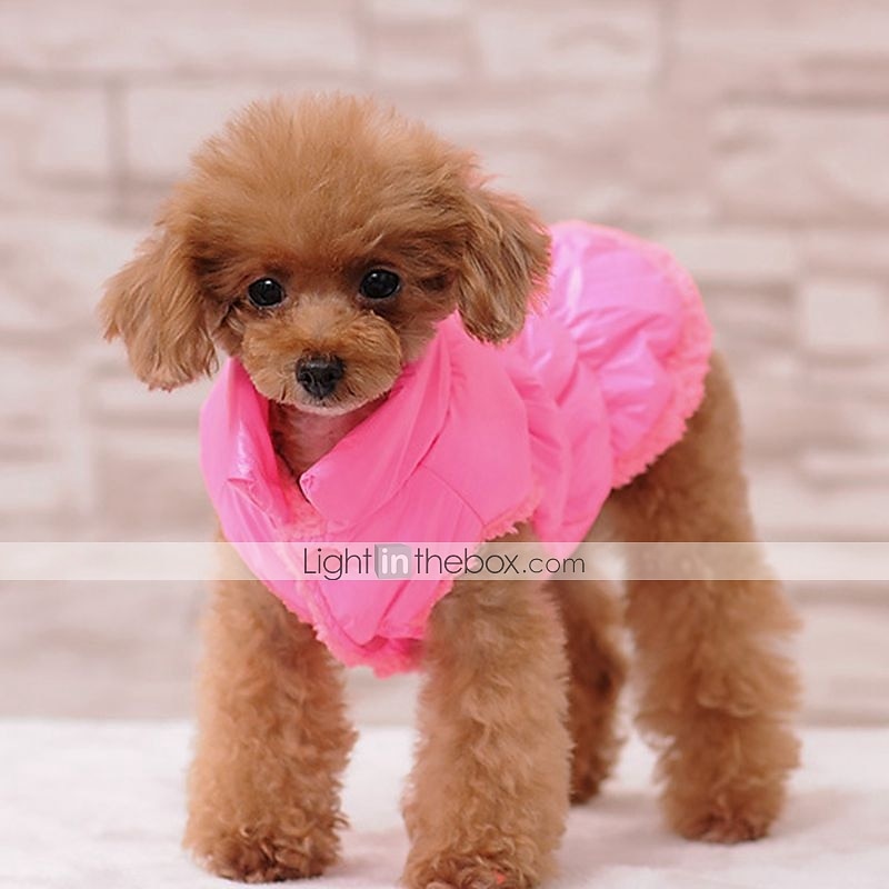 Dog Coat Jacket Vest Puppy Clothes Cosplay Winter Outdoor Dog Clothing 2025 - $27.99 –P5