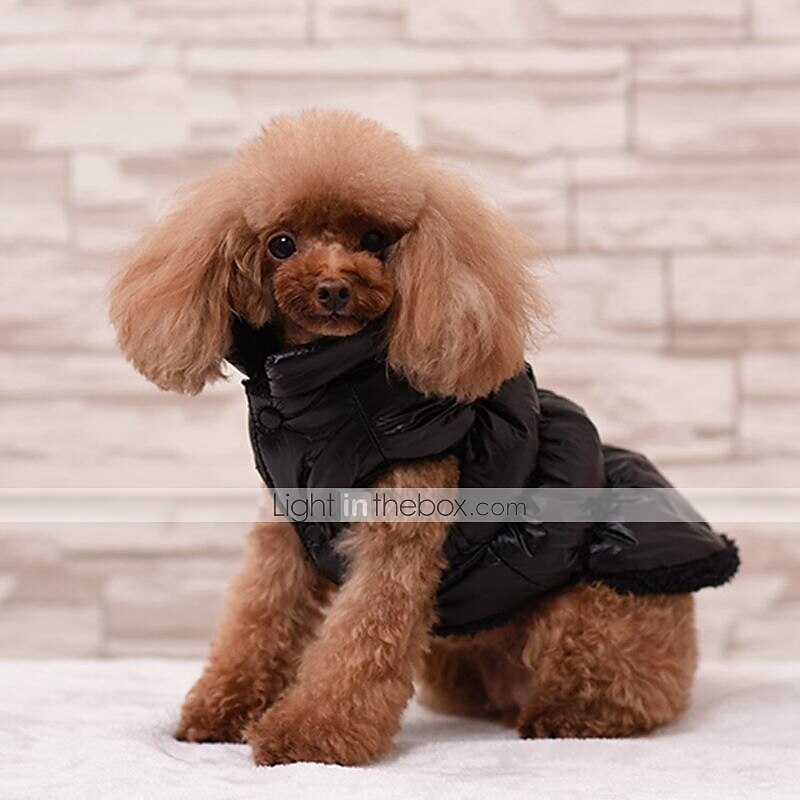Dog Coat Jacket Vest Puppy Clothes Cosplay Winter Outdoor Dog Clothing 2025 - $27.99 –P15