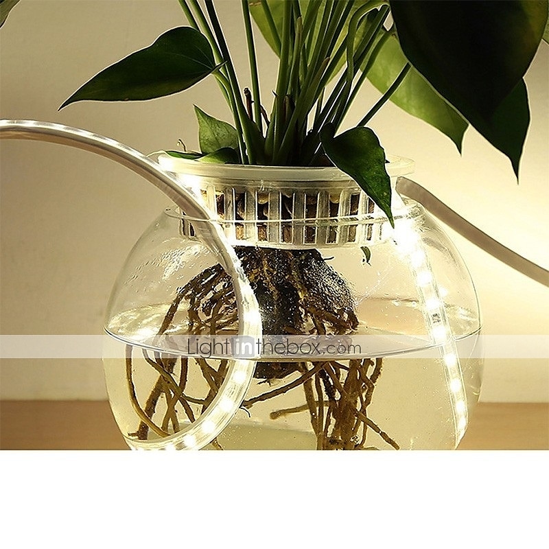 2 מטר 5 מטר 10מ' סרטי תאורת LED גמישים 120 נוריות 5630 SMD 1set לבן חם RGB לבן עמיד במים מפלגה 220-240 V 2025 - $23.99 –P11