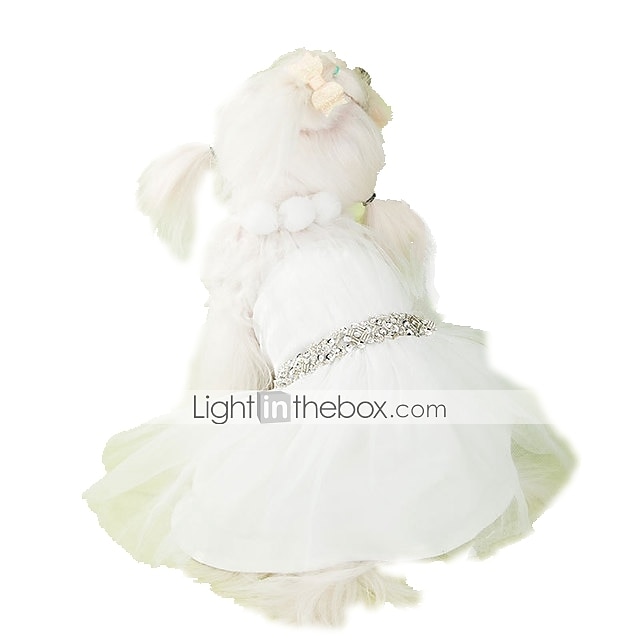 Cane Vestiti Matrimonio Abbigliamento per cani Vestiti del cucciolo Abiti per cani Costume per ragazza e ragazzo cane Terylene XS S M L XL XXL del 2025 a $77.99 –P3