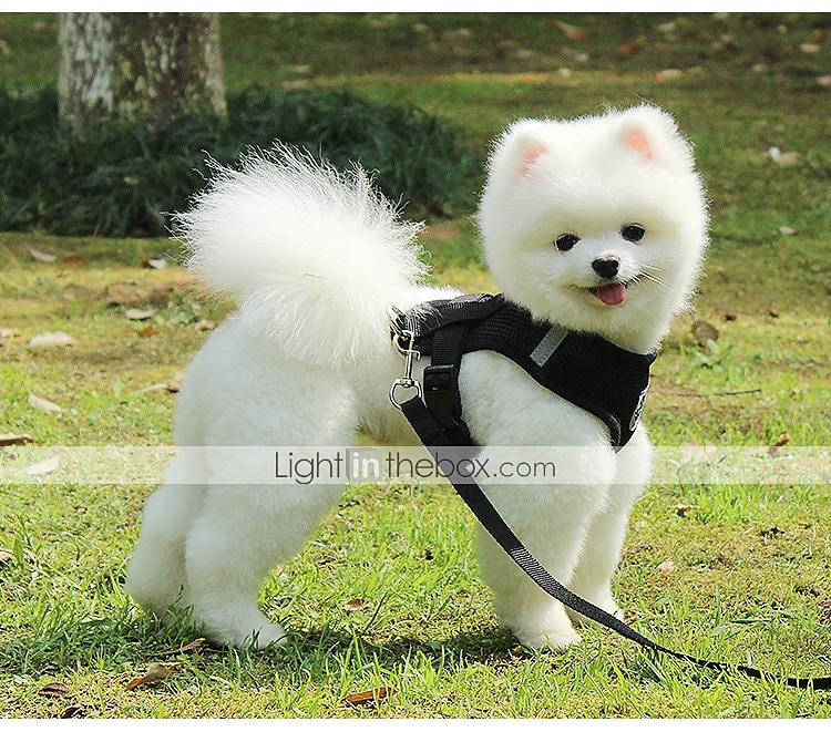 2025年 犬用　ペット用　ハーネス　ベスト　調整可能　高通気性　反射ストラップ付き　安全　快適　小型犬用　ドッグトレーニング用  無地　選べる7色  コレクション – $13.99 –P5