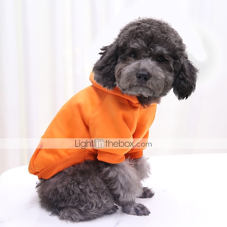 felpe con cappuccio invernali per cani con tasche vestiti caldi per cani di piccola taglia cappotto per chihuahua abbigliamento per cuccioli e gatti del 2025 a $15.49 –P15