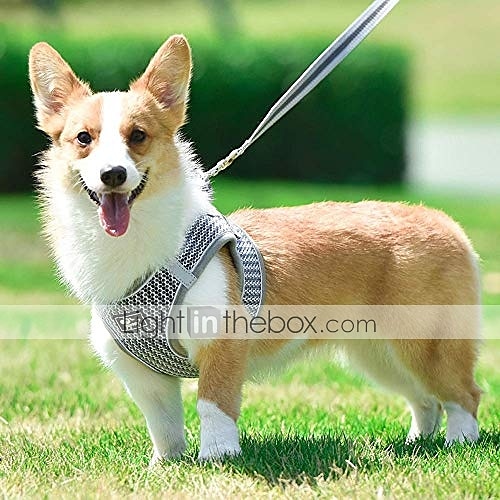 hondentuig zonder trekhaak kleine honden, zachte mesh reflecterende ademende instaphond kat harnas en riem set voor puppy kat huisdier vest met riem verstelbaar voor buiten wandelen, training xs 2025 - $18.49 –P4